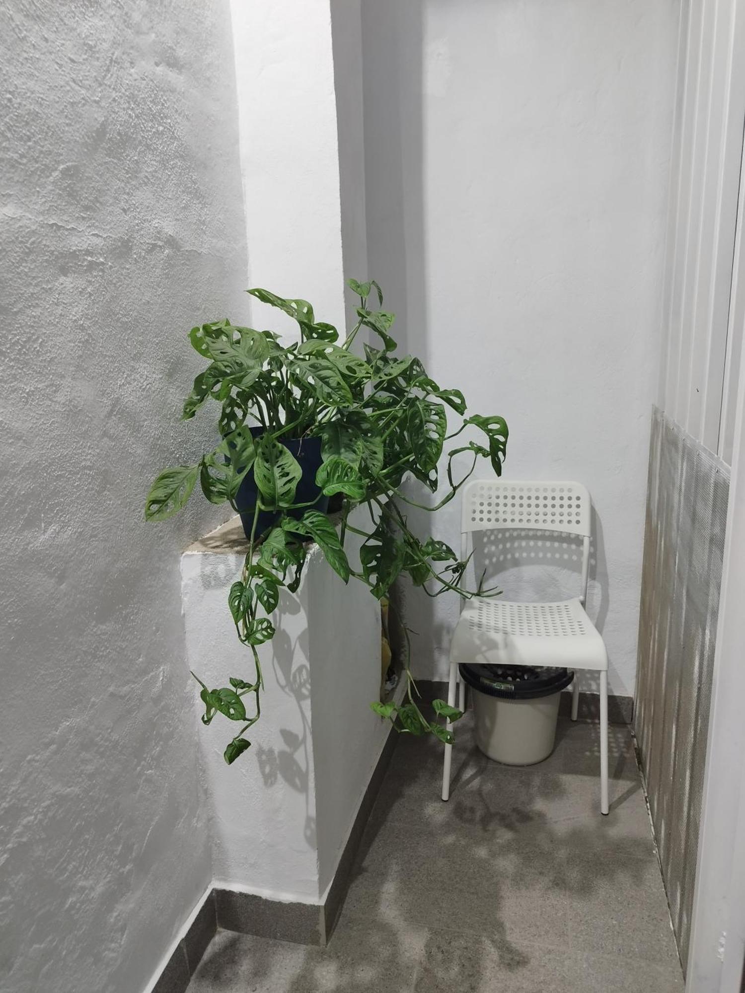 Appartement Casa De Maria Luisa à Arona  Extérieur photo